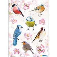HERMA Sticker DECOR "Aquarell Vögel"